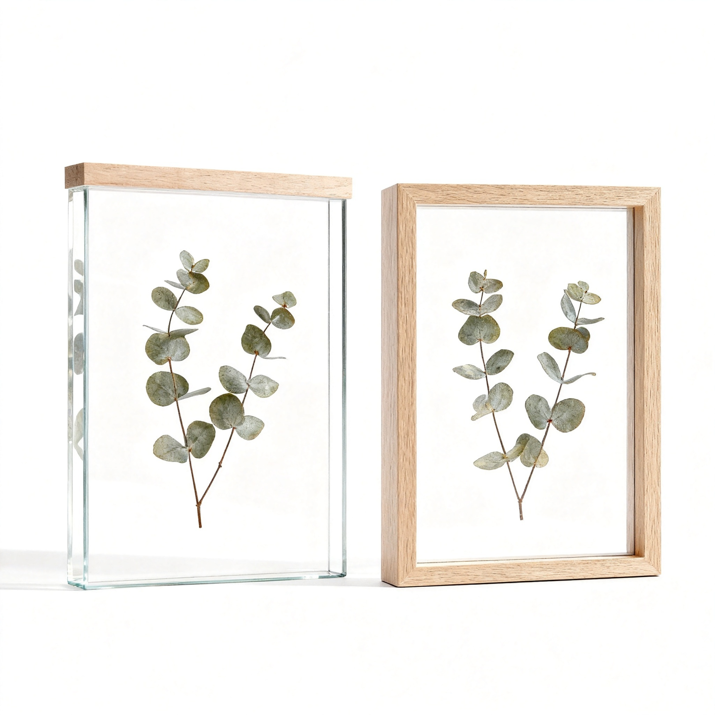 🍃 Preserve Nature’s Quiet Beauty — A Botanical Frame That Brings the Outdoors Into Your Home